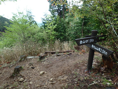 P5030050