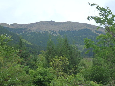 P5030063