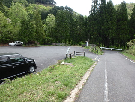 P5030065
