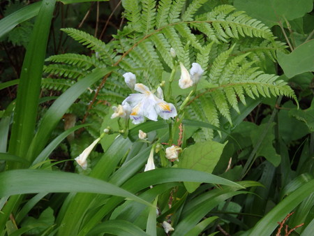 P5030068