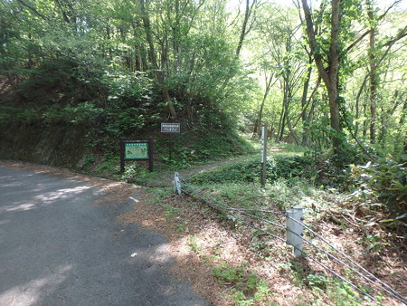 P5050010
