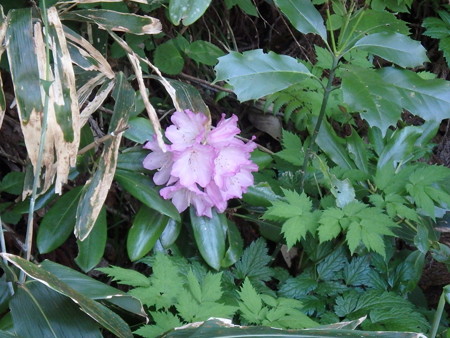 P5050021