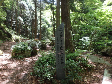 P5050022