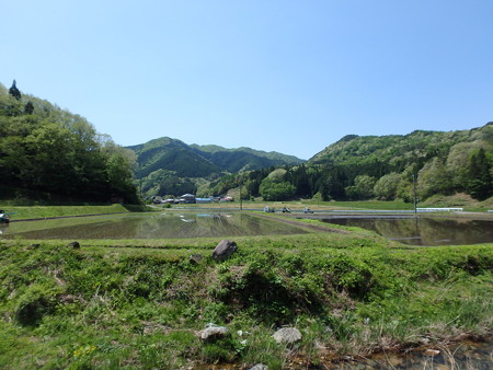 P5050036