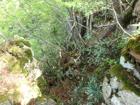 P5120032