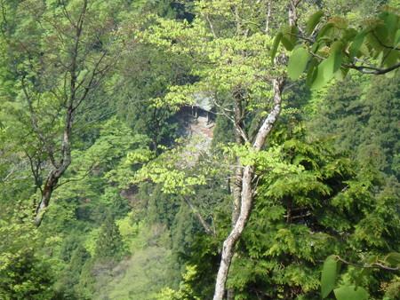 P5120035