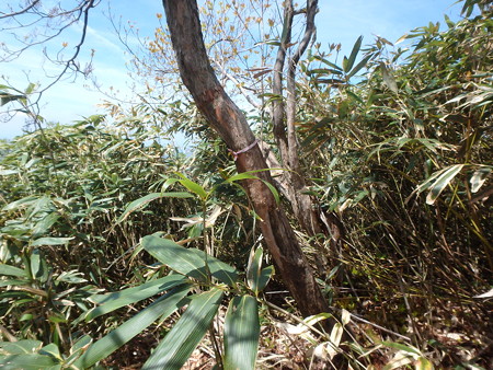 P5120048
