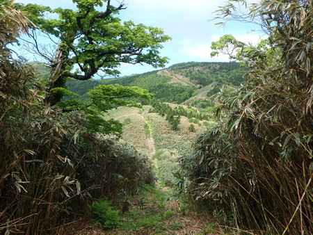 P5200048