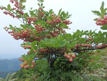 P5260063