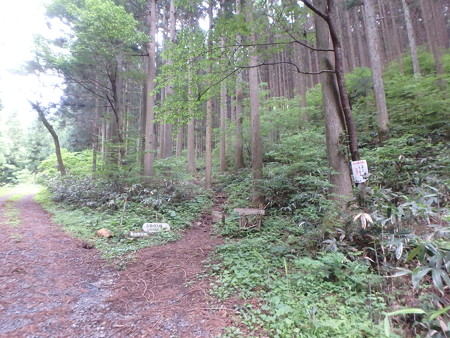 P5260005
