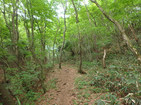 P5260014