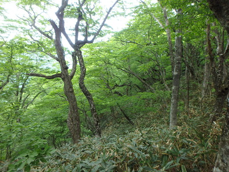 P5260030