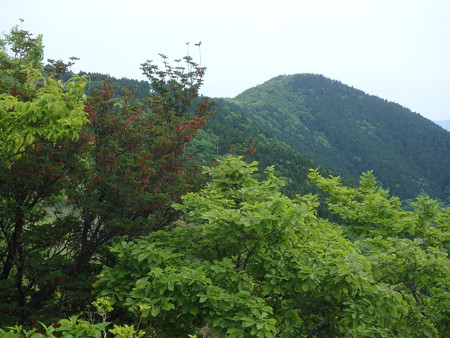 P5260035