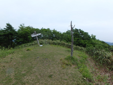 P5260041