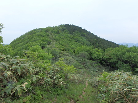 P5260051