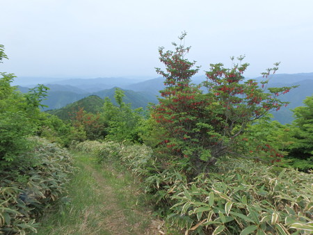 P5260081