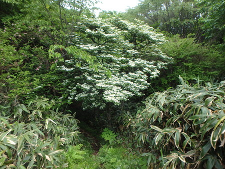 P5260088