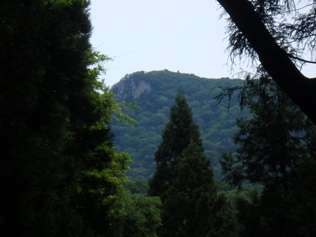 P5260093