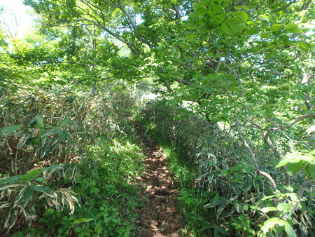 P6020027