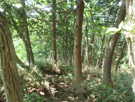 P6020031