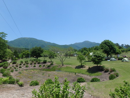 P6020038