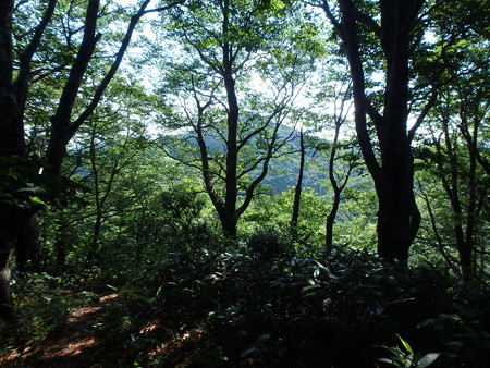 P6160039