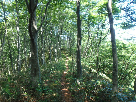 P6160059