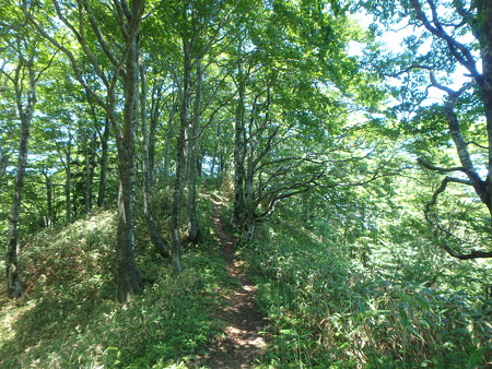 P6160071