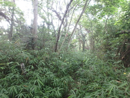P6240013