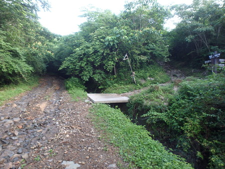 P7130003