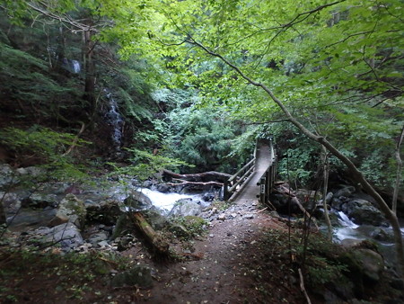 P7130005