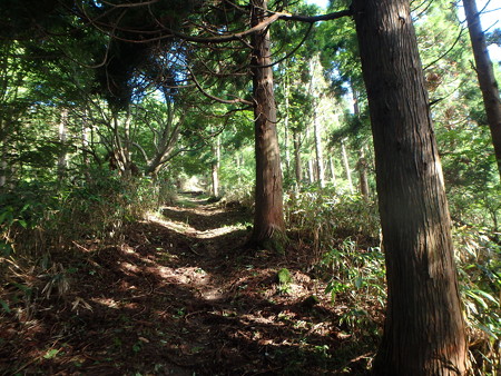 P7130012