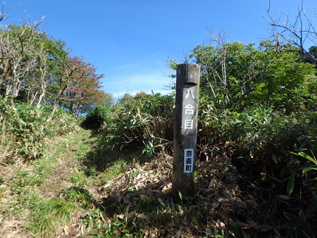 P7130017