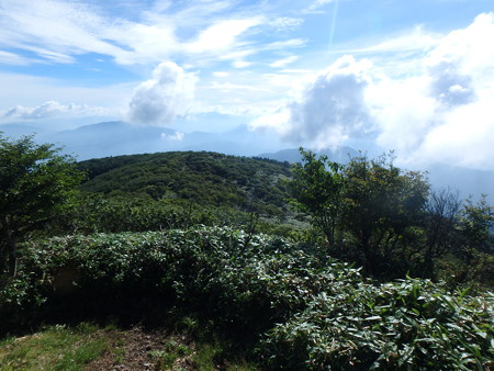 P7130022