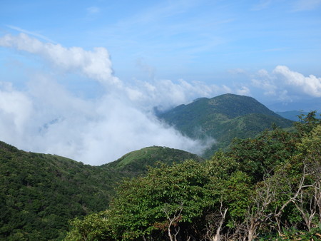 P7130029