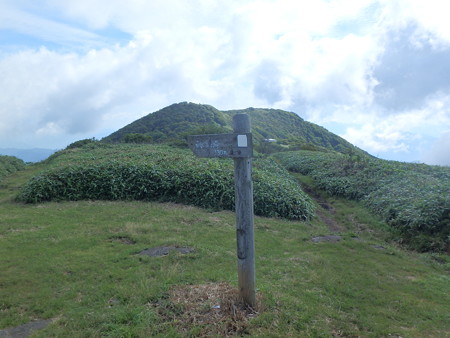 P7130035