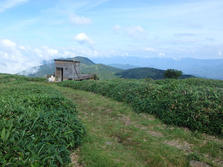 P7130037