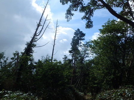 P7130041