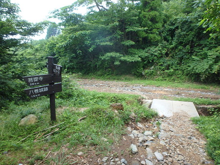P7130046