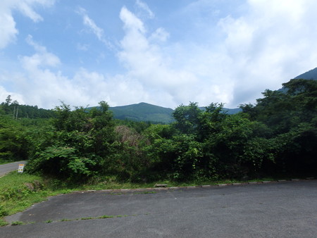 P7130051