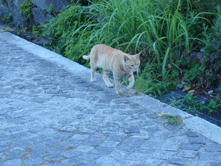 P7210005