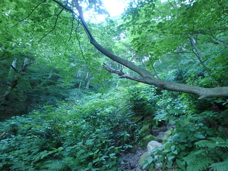 P7210009