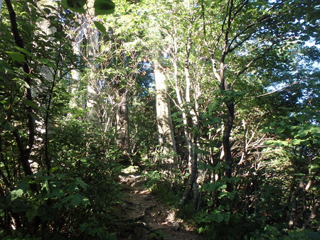 P7210010
