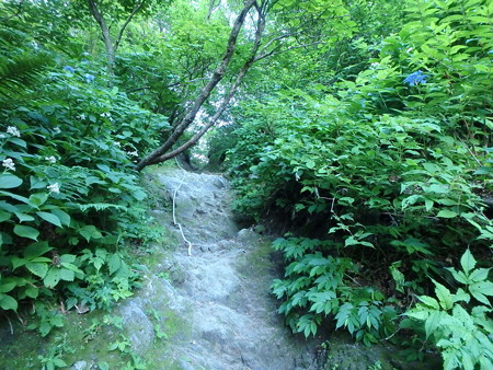 P7210014