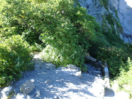 P7210017