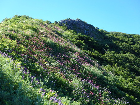 P7210042