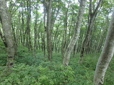 P7210063