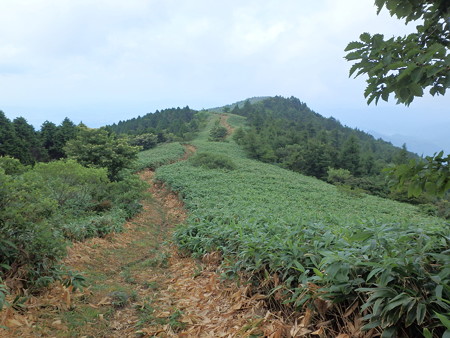P7280037