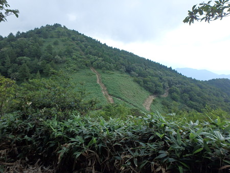 P7280021