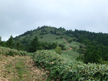P7280022